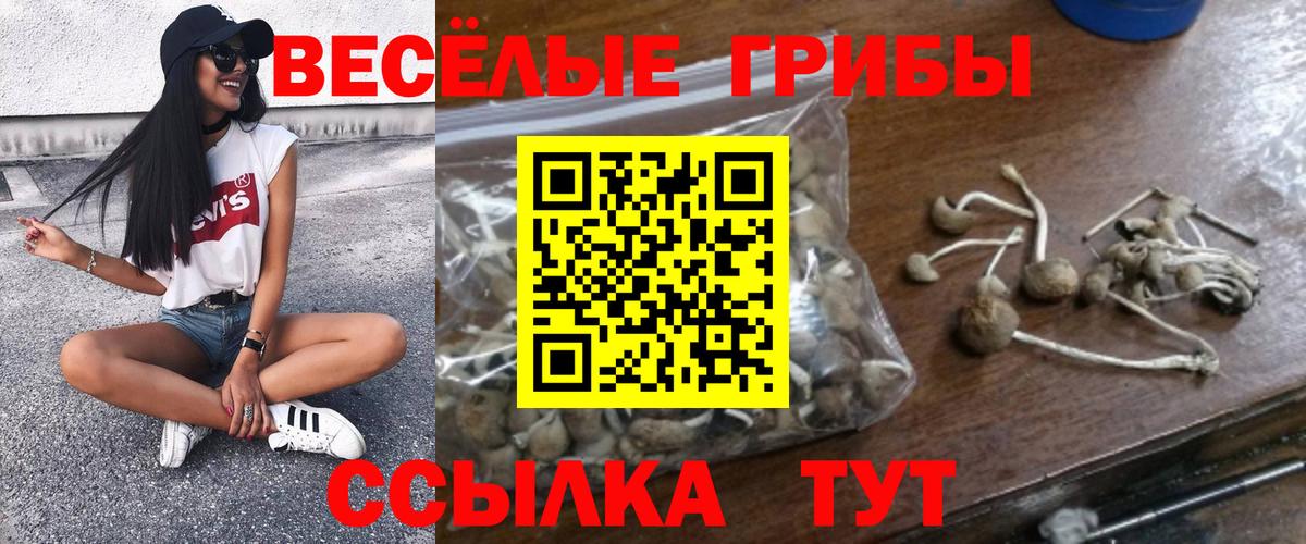Псилоцибиновые грибы Psilocybine cubensis  Галлюциногенные грибы Psilocybe  Вход с VPN  Тында 
