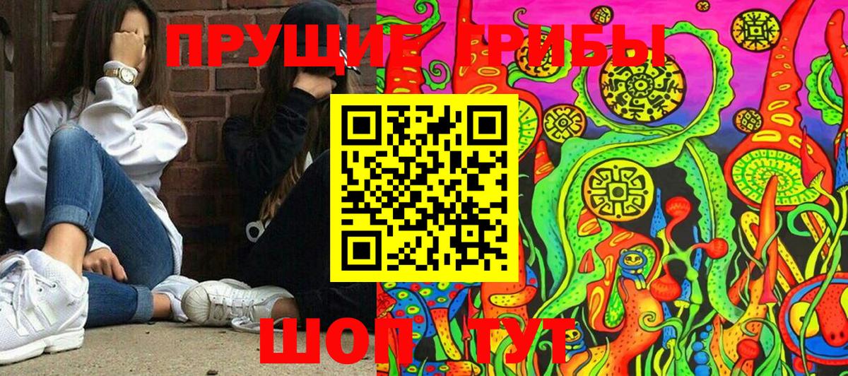 Галлюциногенные грибы прущие грибы Тында